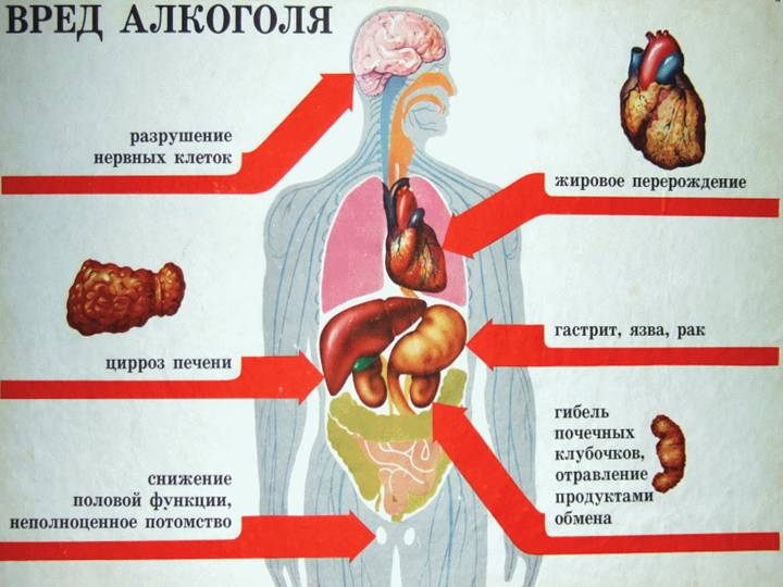 вред алкоголя для организма